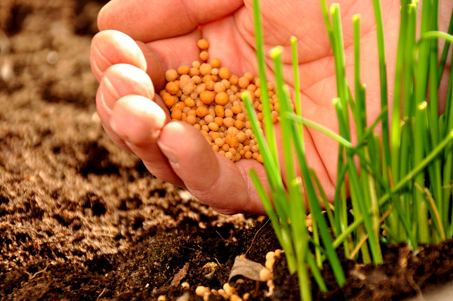 Biodiversität in der Landwirtschaft